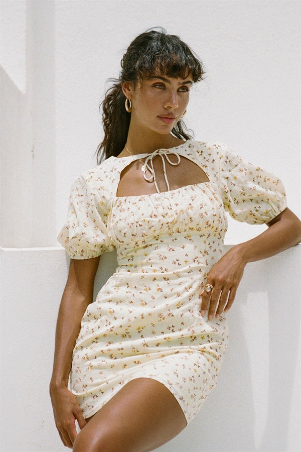 Unique Tialeigh Sample Dress for Fashion Lovers