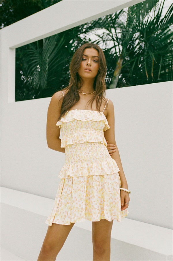 Exclusive Levi Dress Sample for Fashion Enthusiasts