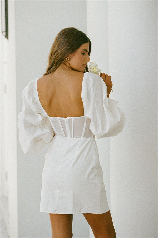 Exclusive Sample of Brielle Corset Style Women's Dress