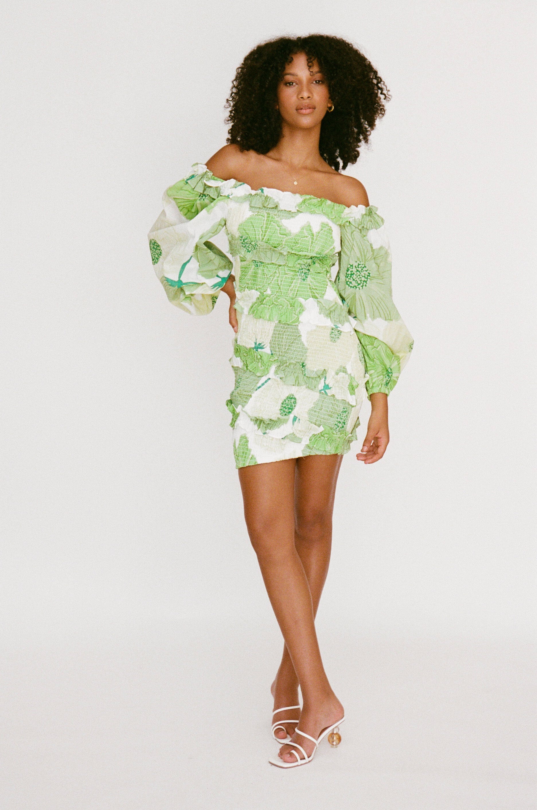 Sabo Exclusive Berlyn Shirred Mini Dress with Moss Lily Print