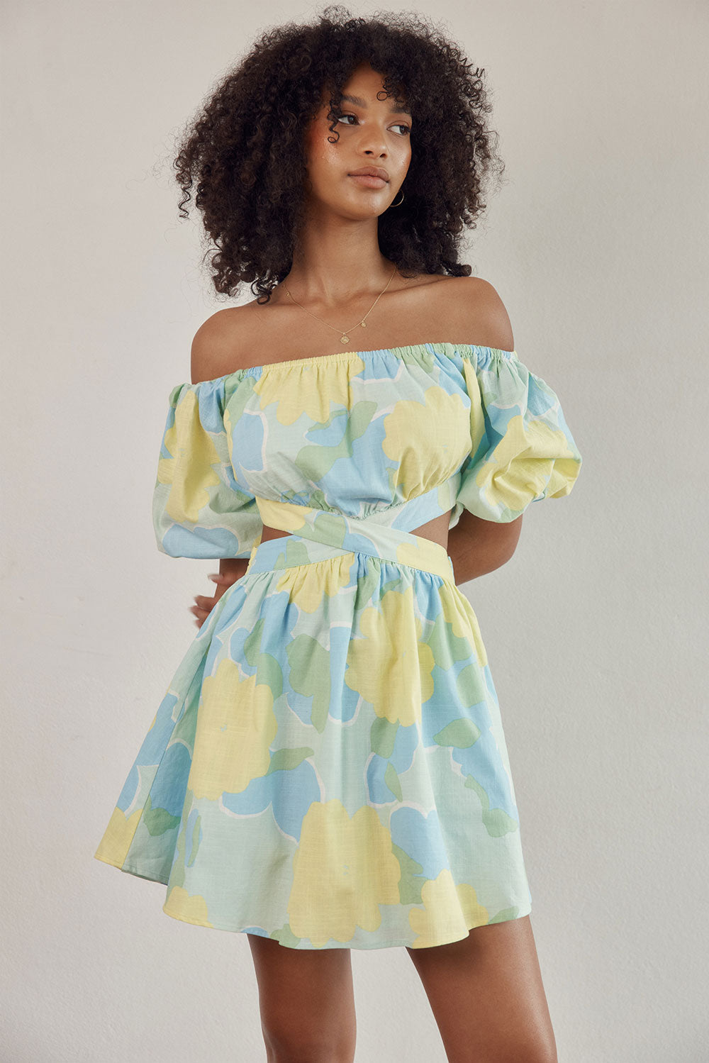 Stylish Blake Off - the - Shoulder Women's Dress with Flutter Green Print