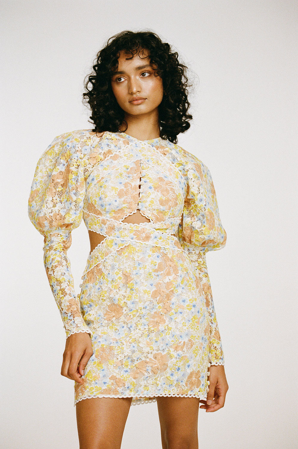 Exquisite Luxury Sceaux Women's Dress
