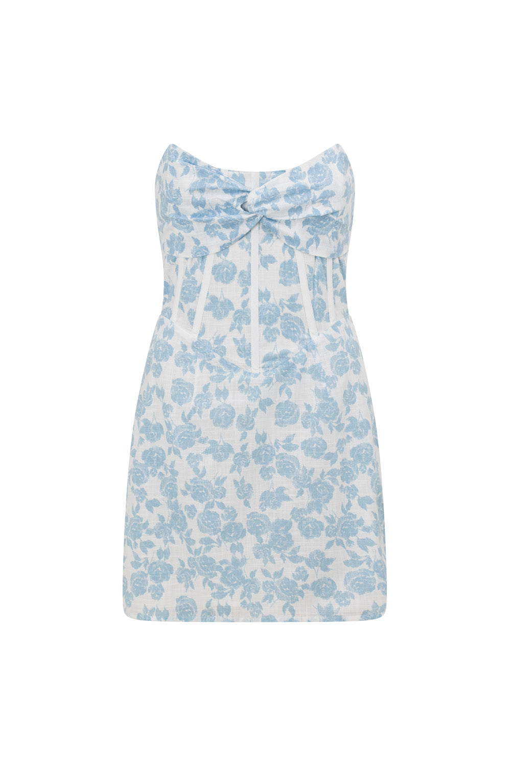 Exclusive Story Book Rose Print Nadia Strapless Corset Mini Dress