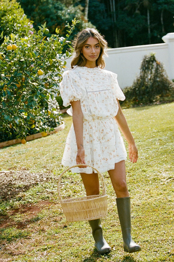 Petite Avelina Dress with Exclusive Spring Buttercup Print