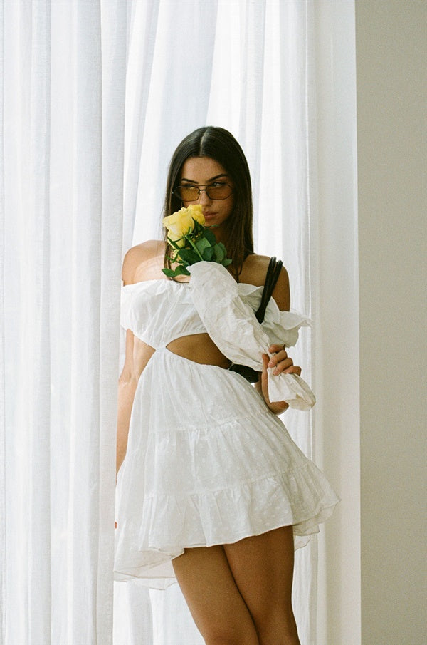 Unique Faint Pink Eva Frill Dress Sample for Fashion Lovers