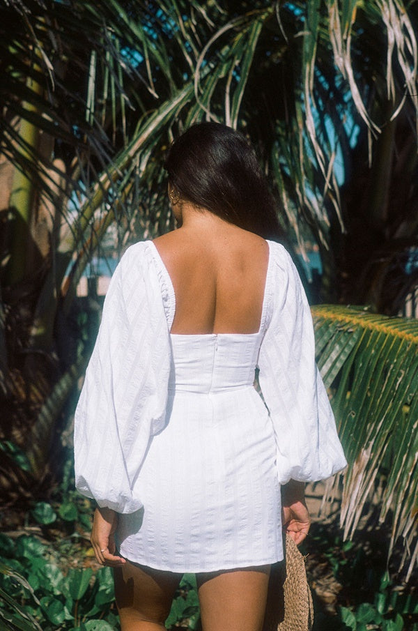 Unique Stripe Addilyn Women's Dress - Sample Edition