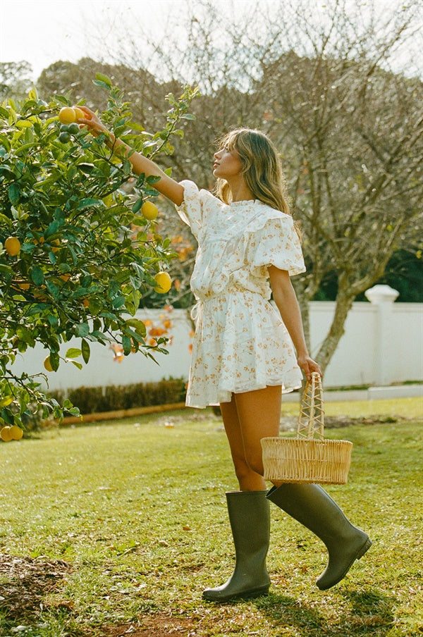 Petite Avelina Dress with Exclusive Spring Buttercup Print