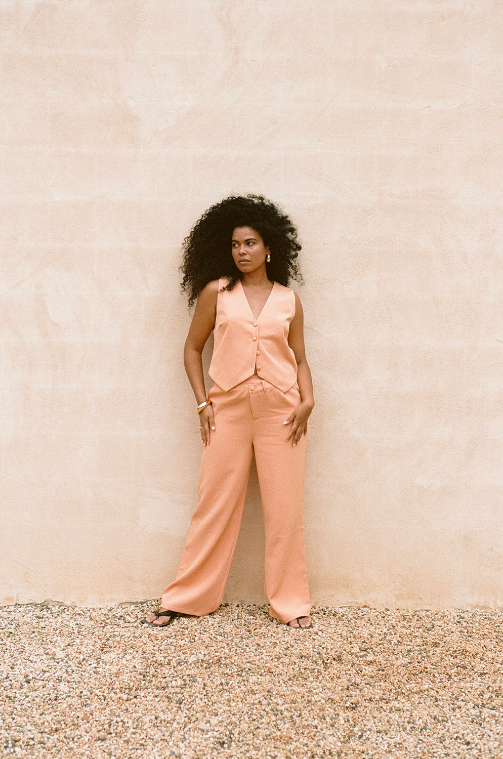 Exquisite Apricot - Hued Remi Suiting Pants