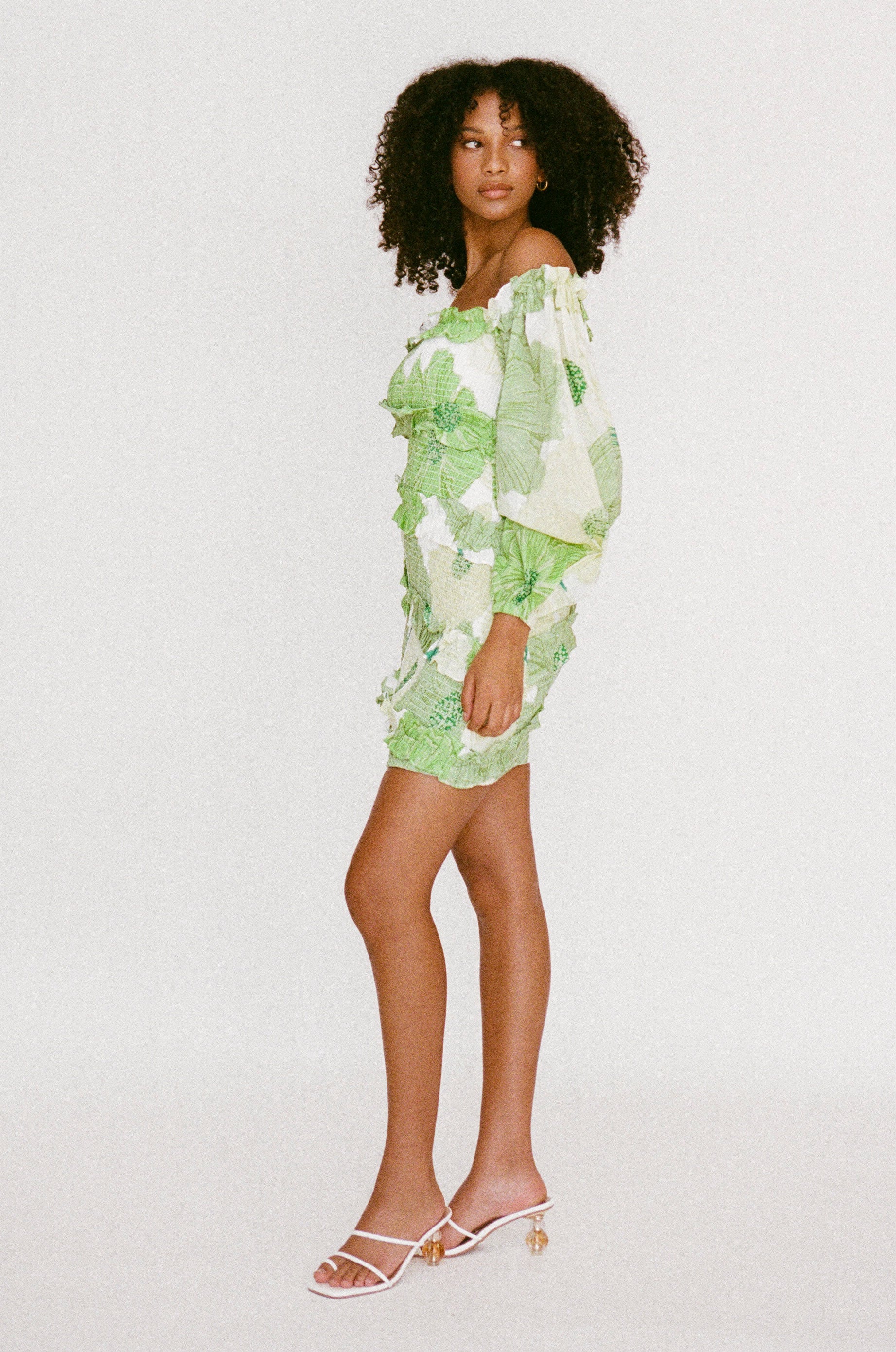 Sabo Exclusive Berlyn Shirred Mini Dress with Moss Lily Print