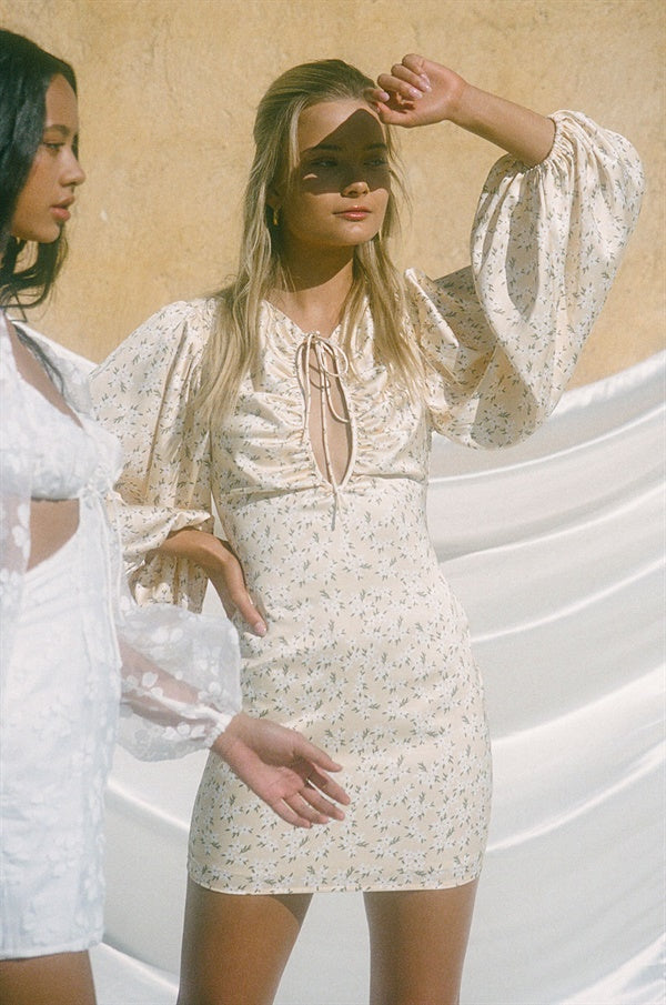 Silky and Elegant Xandria Women's Dress - Sample Version