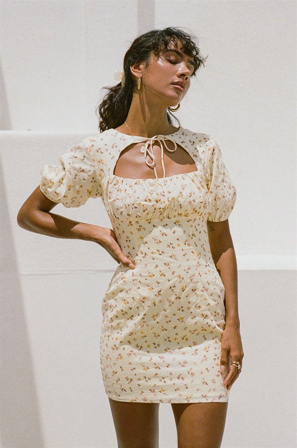 Unique Tialeigh Sample Dress for Fashion Lovers