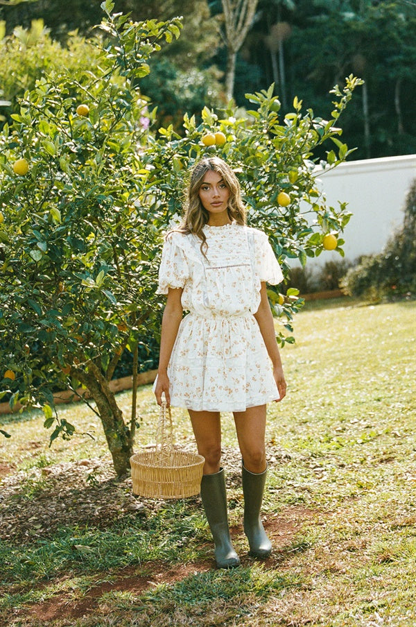 Petite Avelina Dress with Exclusive Spring Buttercup Print