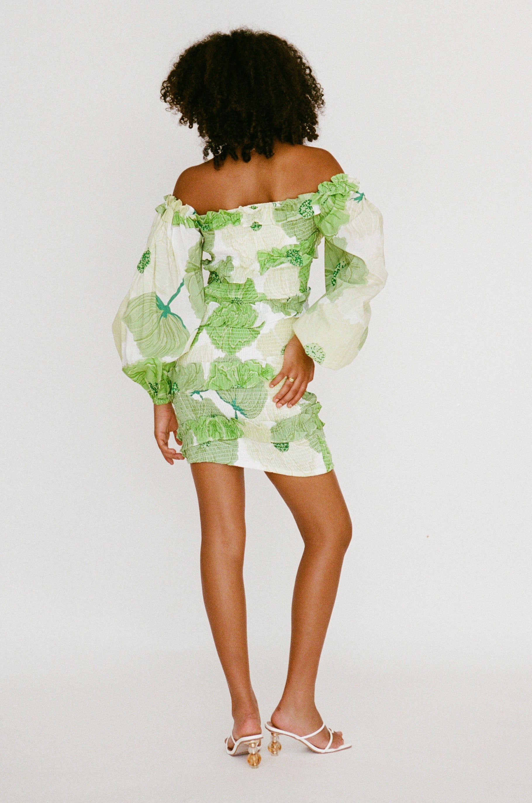 Sabo Exclusive Berlyn Shirred Mini Dress with Moss Lily Print