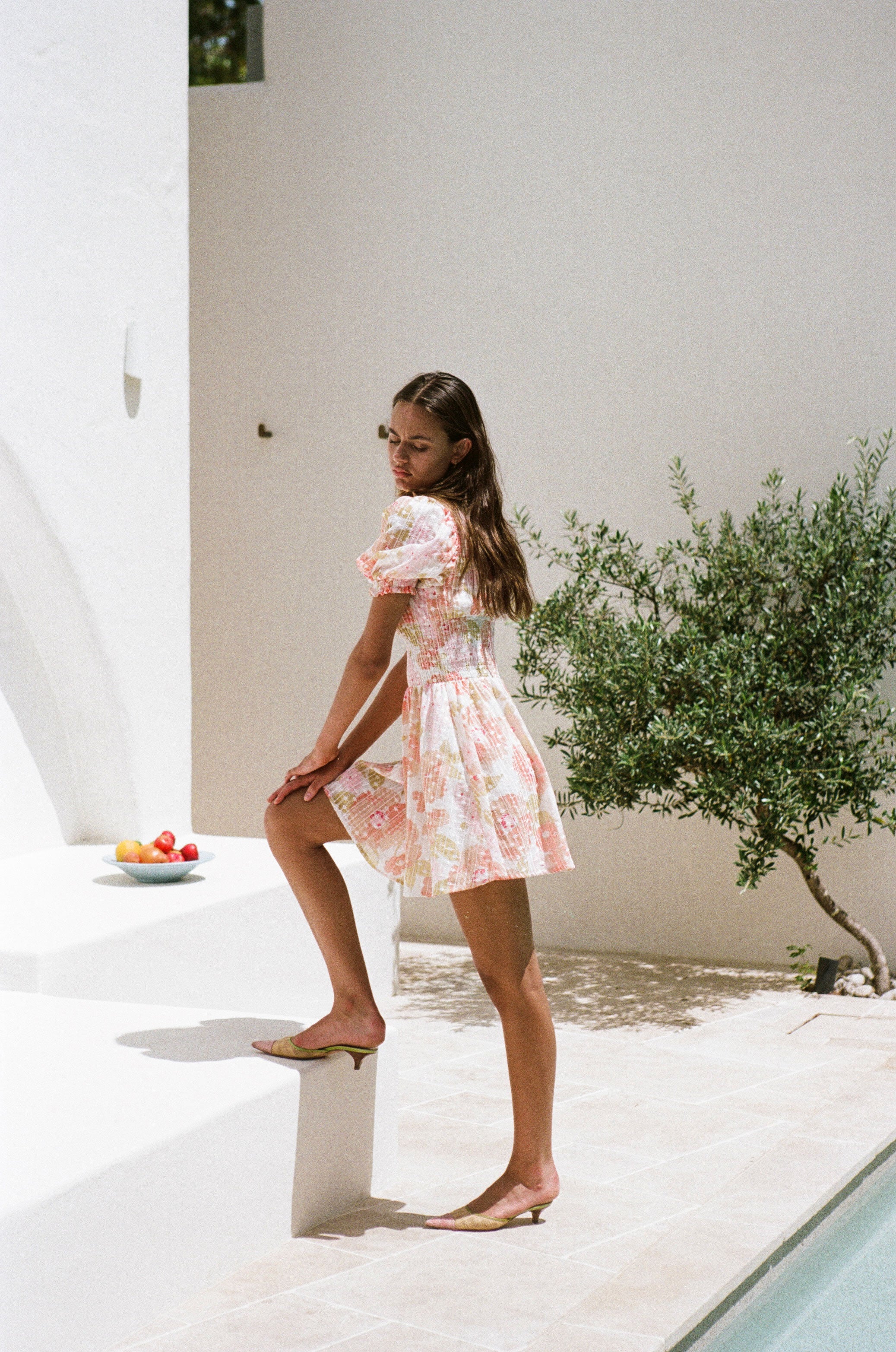 Elegant Carlita Lightweight Embroidered Shirred Anemone Floral Dress