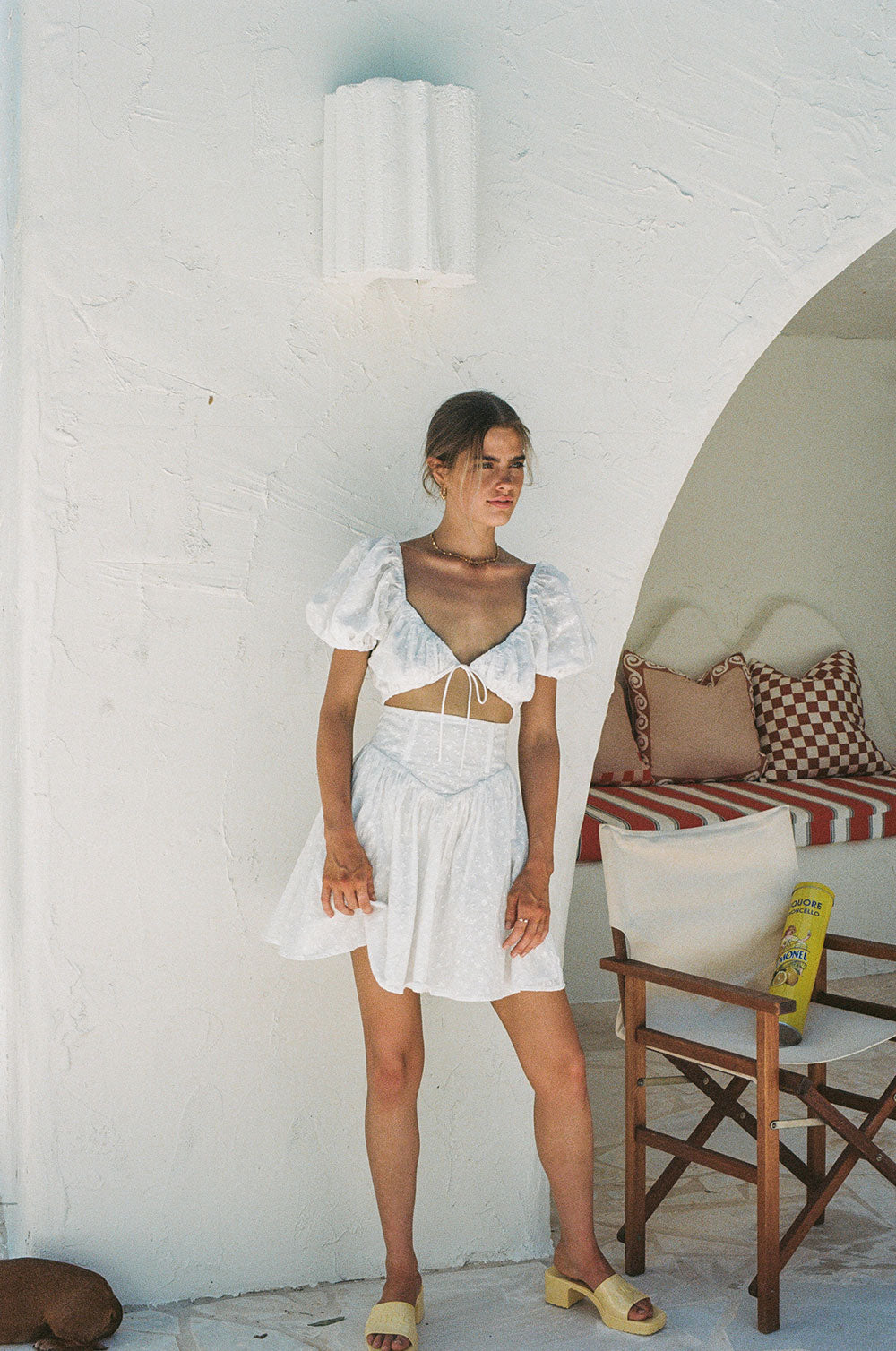 Exclusive Sample of Alika Women's Dress