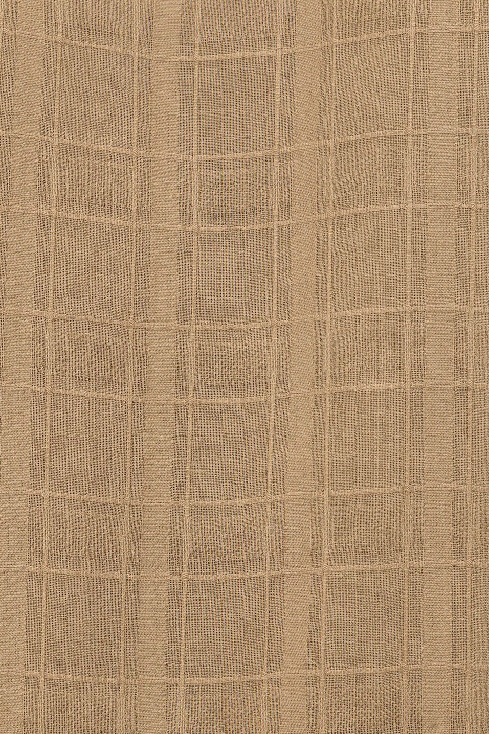 Exclusive Sample of Bella Women's Dress