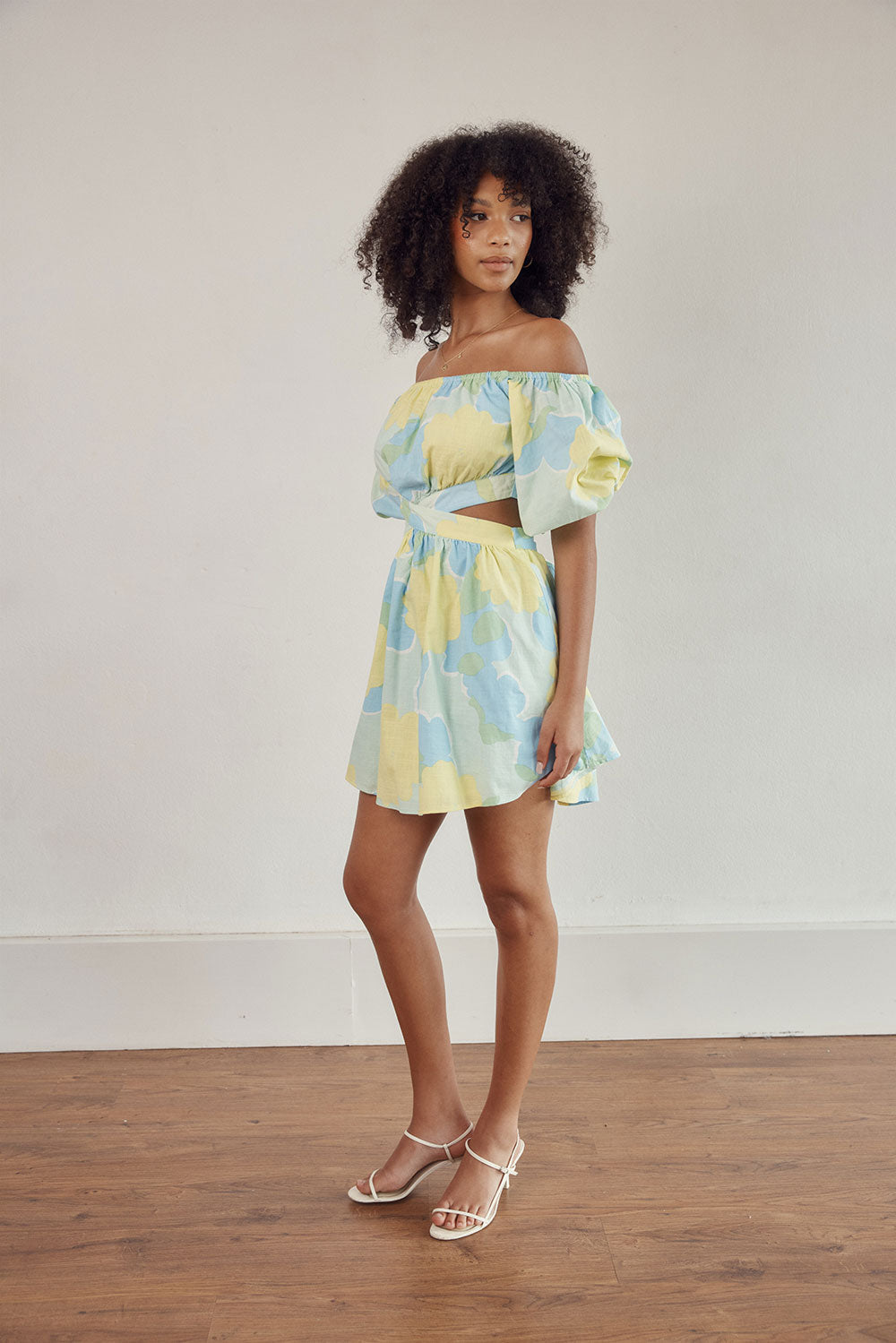 Stylish Blake Off - the - Shoulder Women's Dress with Flutter Green Print