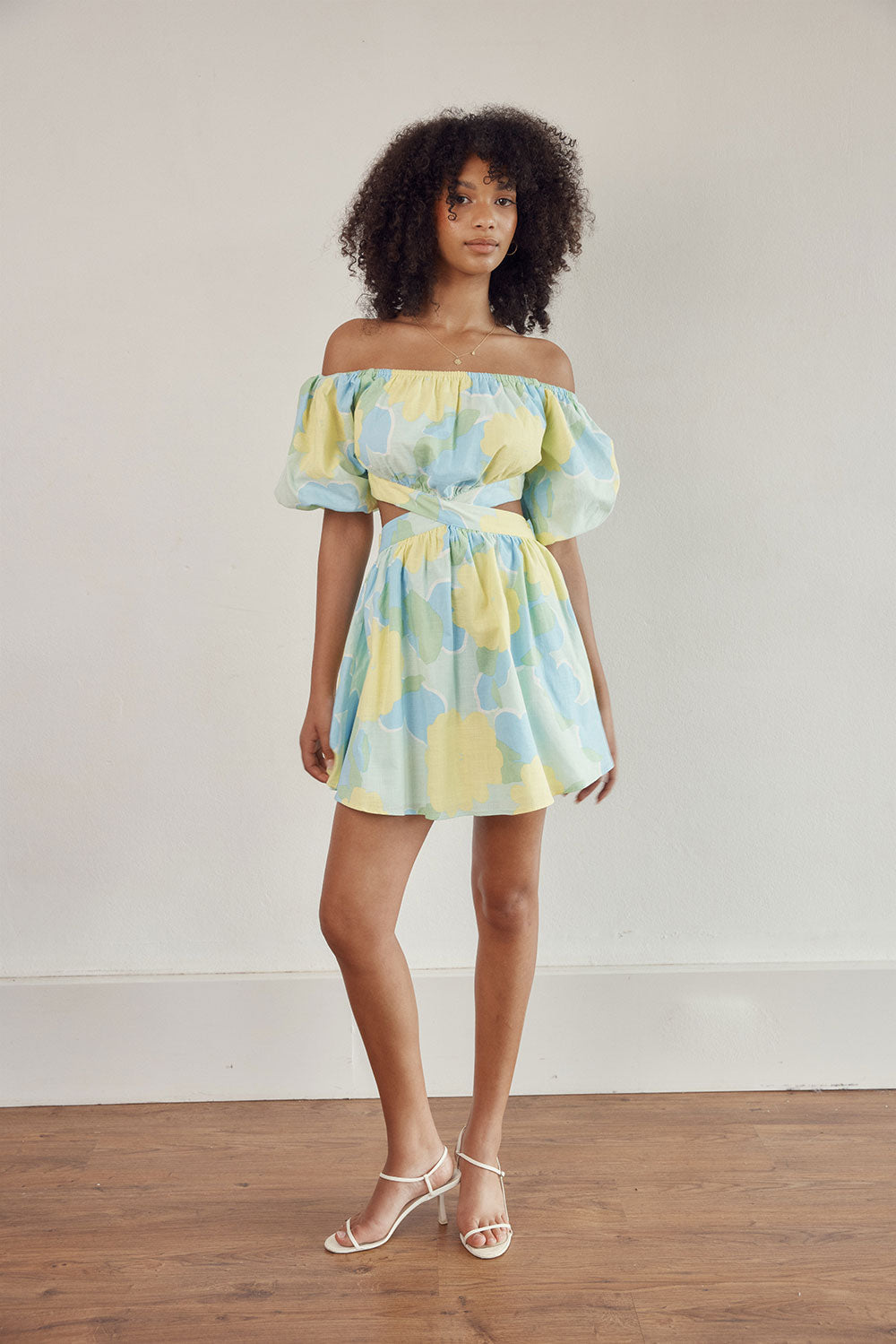 Stylish Blake Off - the - Shoulder Women's Dress with Flutter Green Print