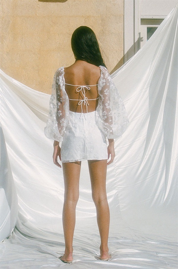 Exclusive Backless Salerno Women's Dress - Sample Edition